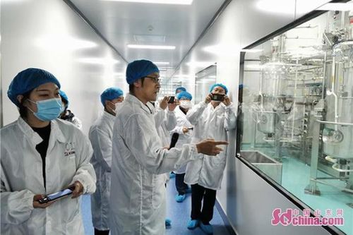 石藥集團煙臺生物醫藥高科技產業園 全國最大生物醫藥產業化基地的科技力量
